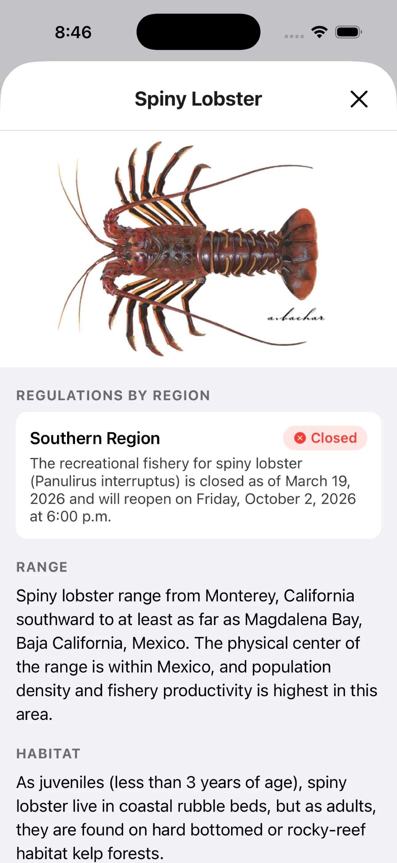 Spiny lobster regulation detail in the Creel app showing the October 2 2026 reopening date